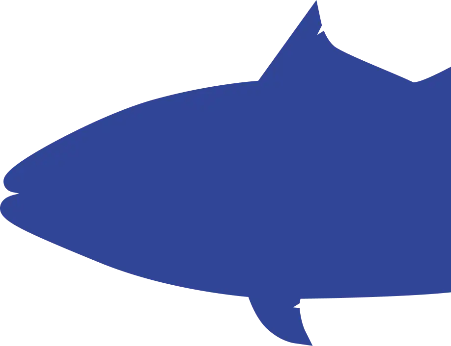 Рыба